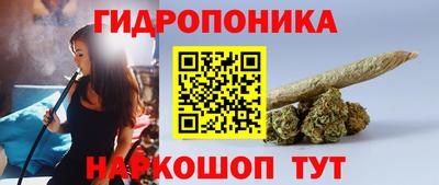 хмурый Заводоуковск