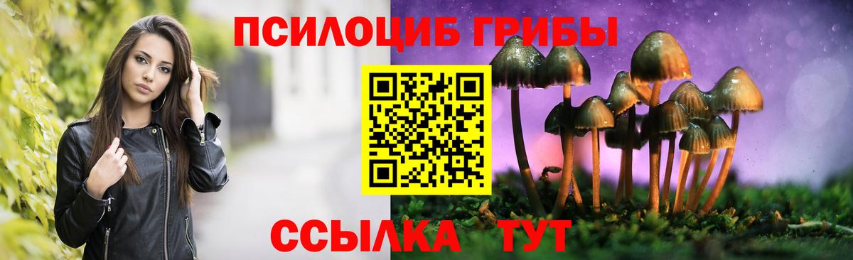 Кызыл  Псилоцибиновые грибы прущие грибы  Вход с VPN 